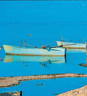 Στην Μονή υπάρχουν τα Λείψανα του Αγίου Αρσενίου του Καππαδόκη που βρίσκονται στο καθολικό της, όπως και ο τάφος του Γέροντα Παϊσίου.