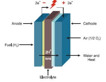 3.5.2 Στοιχεία καυσίμου Στα στοιχεία καυσίμου, το καύσιμο και το οξειδωτικό αέριο ουσιαστικά αποτελούν την άνοδο και την κάθοδο αντίστοιχα.