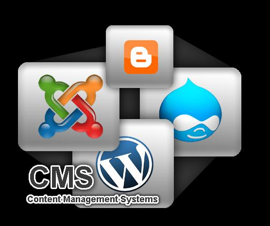 Το Content Management System (CMS) είναι μία μορφή λογισμικού για ηλεκτρονικούς υπολογιστές, που αυτοματοποιεί τις διαδικασίες δημιουργίας, οργάνωσης, ελέγχου και δημοσίευσης περιεχομένου σε μία