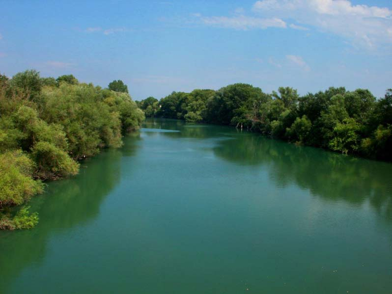 Περιβαλλοντική αξία υγροβιότοπου Ο υγροβιότοπος κατάντη του φράγματος Στράτου