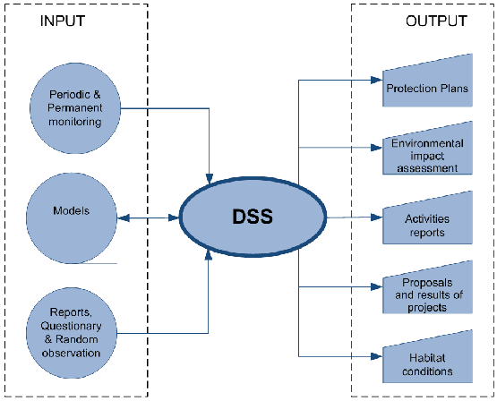 Εικόνα 15:Παράδειγμα πληροφοριακού συστήματος DSS. Τα DSS είναι ευρέως διαδεδομένα καθώς είναι αρκετά καλά δομημένα από τεχνολογικής άποψης και παρέχουν σημαντικά πλεονεκτήματα στους χρήστες τους.