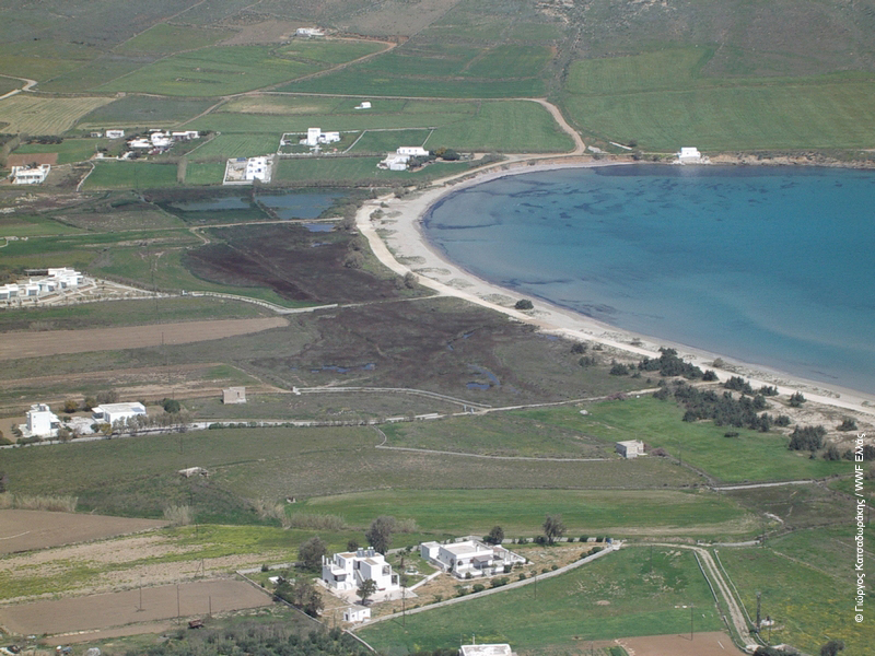 Ερπετά Αμφίβια Ψάρια Ασπόνδυλα Βιβλιογραφία Γεωργιάδης, Ν., Κ. Παραγκαμιάν, Θ. Γιαννακάκης, Δ. Πουρσανίδης, και Γ. Κατσαδωράκης. 2010α. Απογραφή και τεκμηρίωση των υγρότοπων του Δήμου Πάρου.