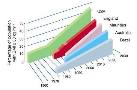 Kopelman, P. G., Obesity as a medical problem.