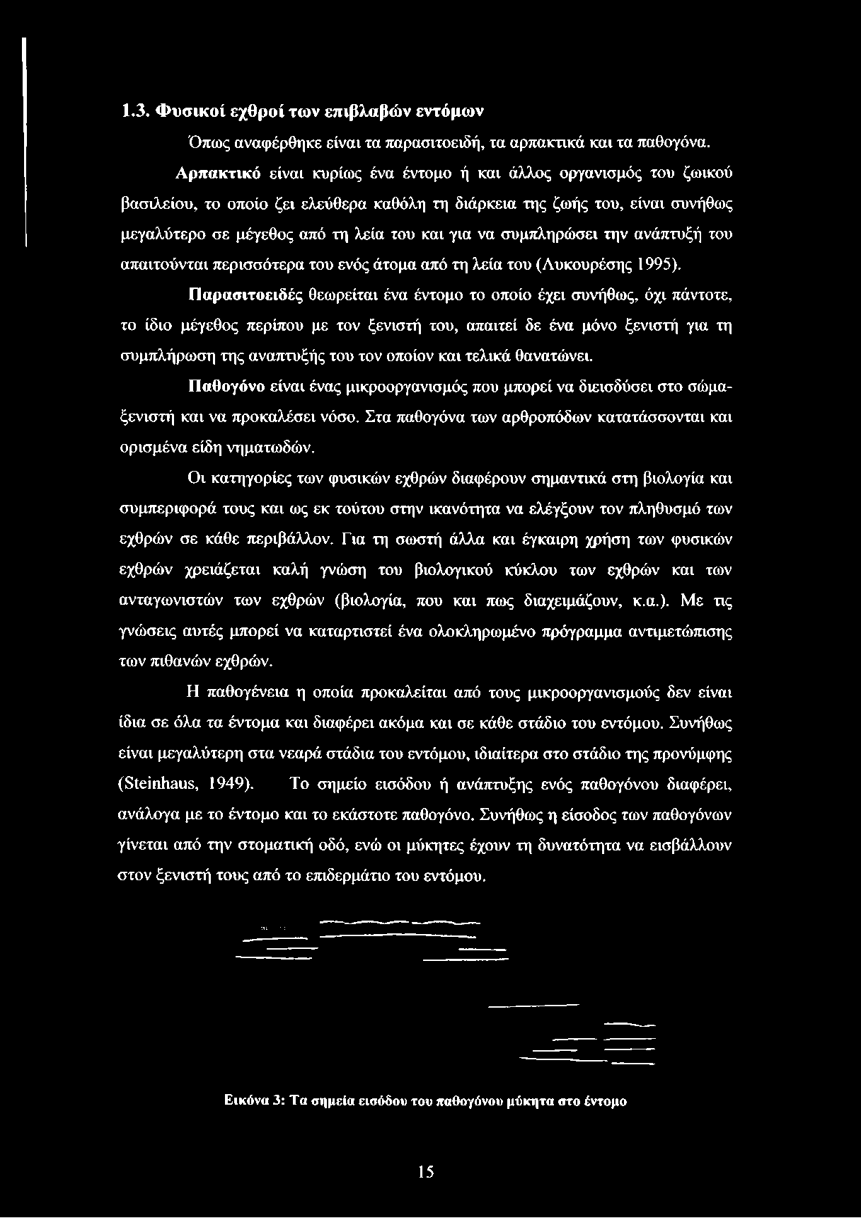 συμπληρώσει την ανάπτυξή του απαιτούνται περισσότερα του ενός άτομα από τη λεία του (Λυκουρέσης 1995).