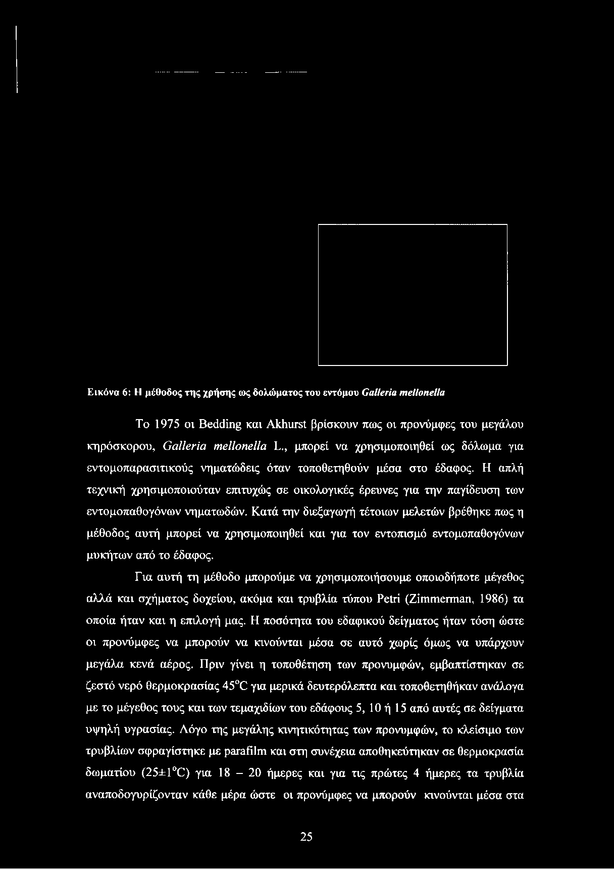 Εικόνα 6: Η μέθοδος της χρήσης ως δολώματος του εντόμου Galleria mellonella To 1975 οι Bedding και Akhurst βρίσκουν πως οι προνύμφες του μεγάλου κηρόσκορου, Galleria mellonella L.