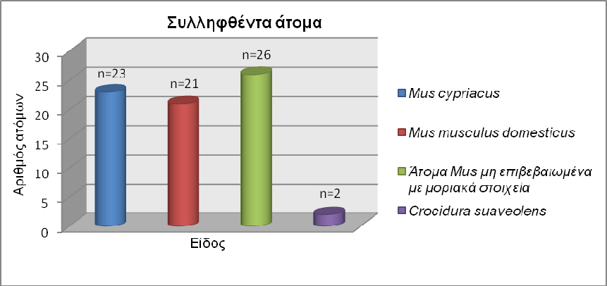 Αποτελέσματα Εικόνα 50: Συνολικός αριθμός των συλληφθέντων μικροθηλαστικών ανά είδος σε όλες τις εποχές και για το σύνολο των τοποθεσιών δειγματοληψίας. 3.