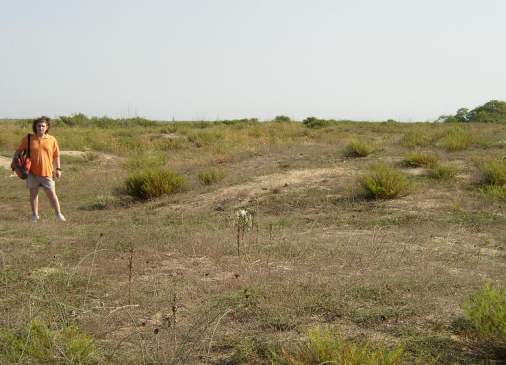 άμμου, δ) βλάστηση στον ρόλο του φυσικού εμποδίου, ε) αιγιαλός μικρής κλίσης και μεγάλου εύρους παλίρροιας (Haslet, 2004). Εικόνα 5.