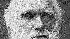 Η εξέλιξη της επικοινωνίας - Επικοινωνία μεταξύ των ζώων: Charles Darwin : Η σημασία της επικοινωνίας και της εκφραστικότητας
