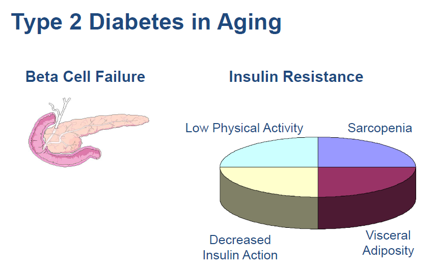 Αιτίες αυξημένης συχνότητας ΣΔ στους ηλικιωμένους National Diabetes