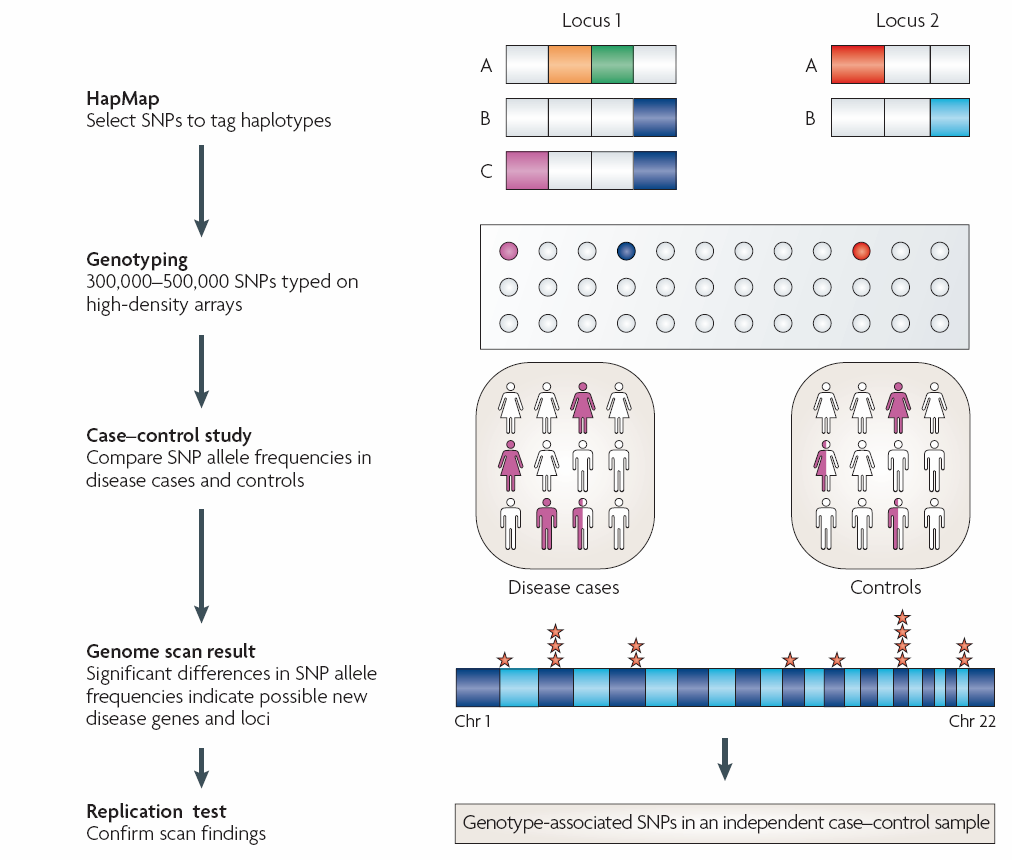 GWAS