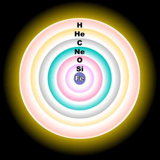 R. J. Hall This diagram shows a simplified (not to scale) cross-section of a massive, evolved star (with a mass greater than eight times the Sun.