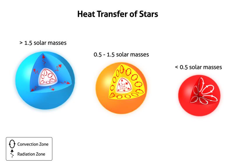 Μεταφορά θερμότητας σε άστρα με διάφορες μάζες ήλιος By www.sun.org (http://www.sun.org/encyclopedia/stars) [CC BY-SA 3.0 (http://creativecommons.org/licenses/by-sa/3.