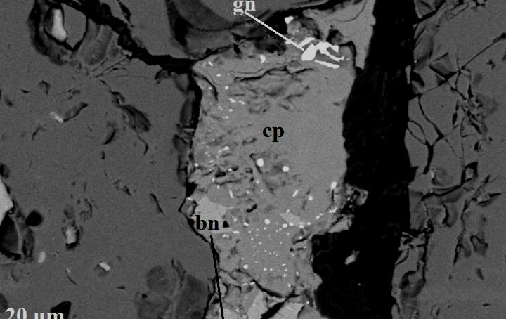 Back scattered images from various drill cores of the Skouries porphyry deposit (3/13)