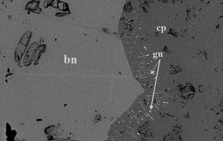 Back scattered images from various drill cores of the Skouries