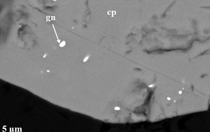 Back scattered images from various drill cores of the Skouries