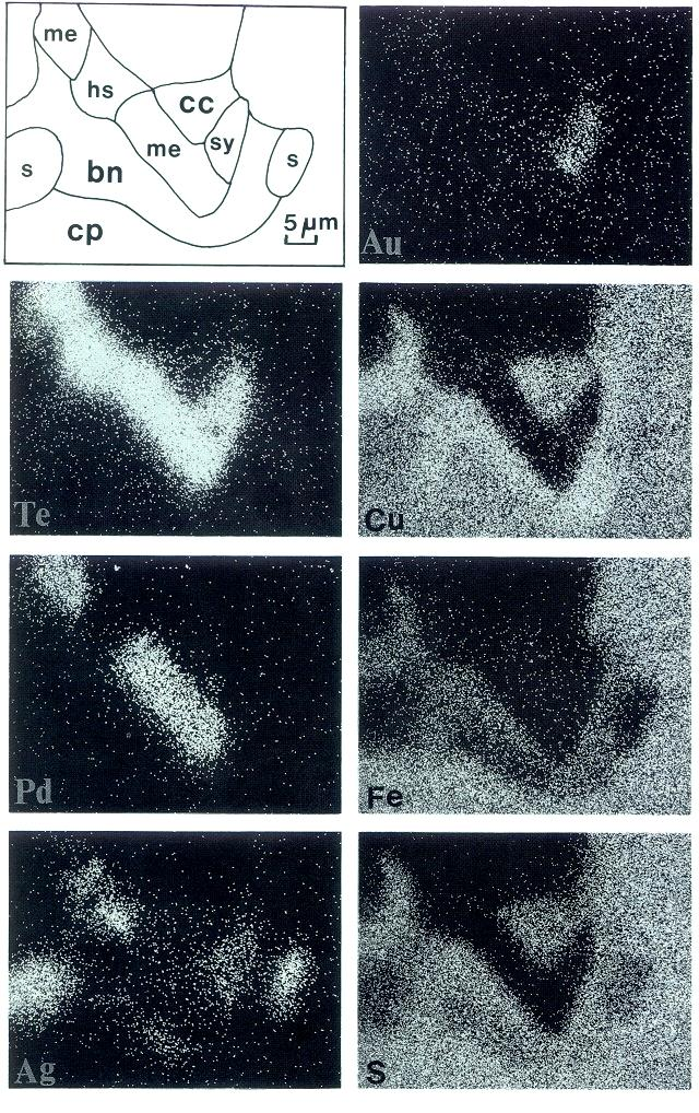 Εικόνα από ηλεκτρονικό μικροσκόπιο Οι ιστολογικές σχέσεις μεταξύ Cu-ορυκτών και merenskyite (Pd-Te), & Agτελλουριδίων δείχνουν