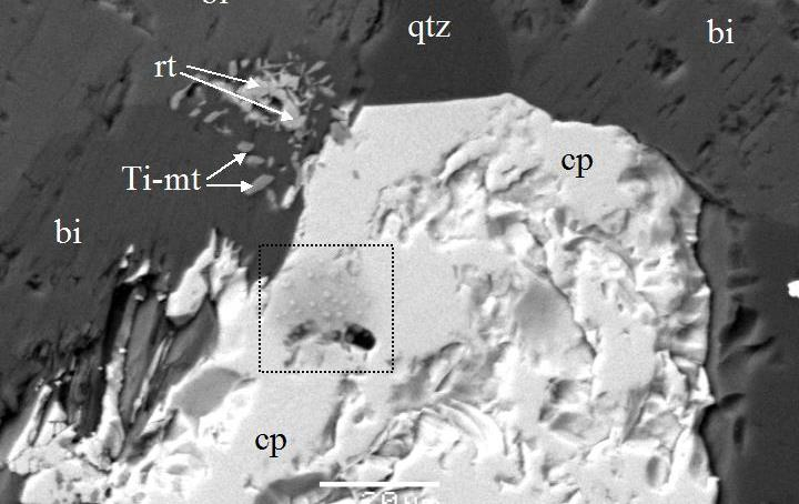 Back scattered images from various drill cores of the Skouries porphyry