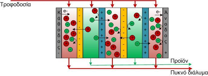 Ηλεκτροδιάλυση Αρχή λειτουργίας Σύστημα από αλλεπάλληλες ημιπερατές μεμβράνες που είναι περατές σε ανιόντα και κατιόντα εναλλάξ.