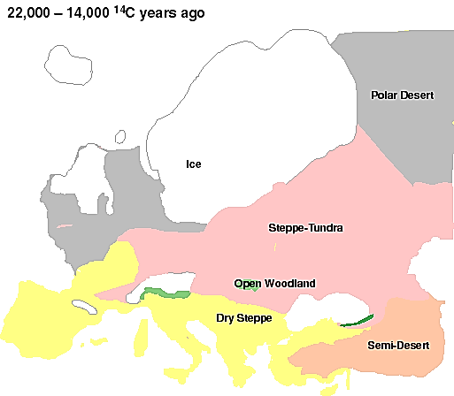 Εξέλιξη της βλάστησης στη Γη 1/13 20