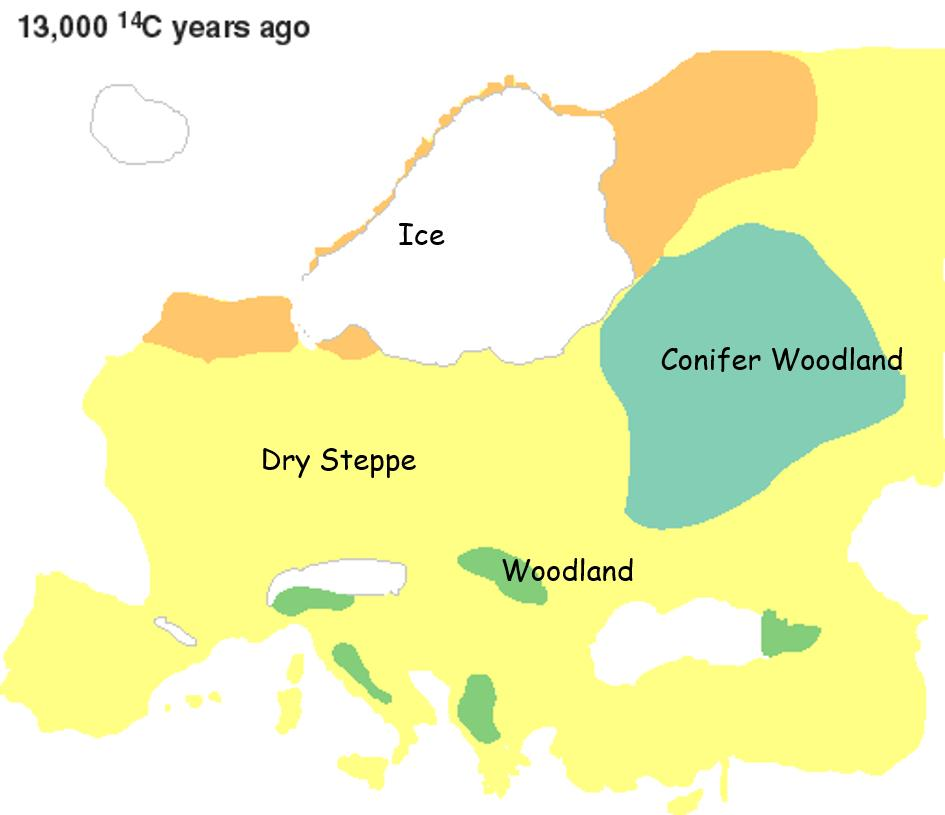 Εξέλιξη της βλάστησης στη Γη 2/13 21