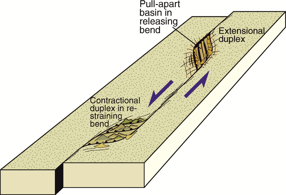 Κλιμακωτές καμπές ρήγματος (fault bends or stepovers) Σε οριζόντιες τομές (άποψη χάρτη) ίχνη ΟΧΙ ευθείες γραμμές διασύνδεση (linkage) επικαλύψη (overlap) σκαλοπάτι κλιμακωτή κάμψη ή καμπή (fault