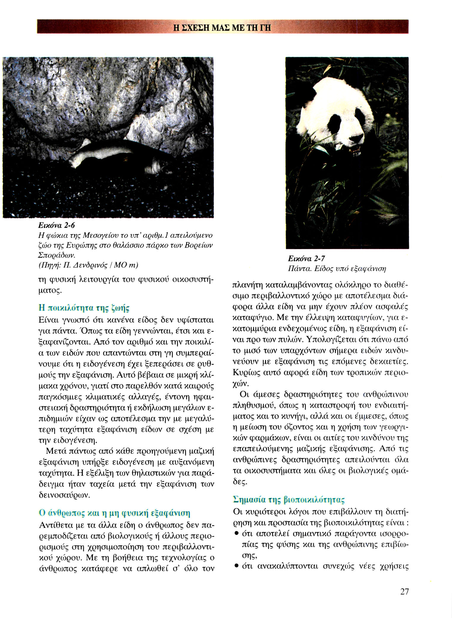Η ΣΧΕΣΗ ΜΑΣ ΜΕ ΤΗ ΓΗ Εικόνα 2-6 Η φώκια της Μεσογείου το υπ' αριθμ. 1 απειλούμενο ζώο της Ευρώπης στο θαλάσσιο πάρκο των Βορείων Σποράδων. (Πηγή: Π.