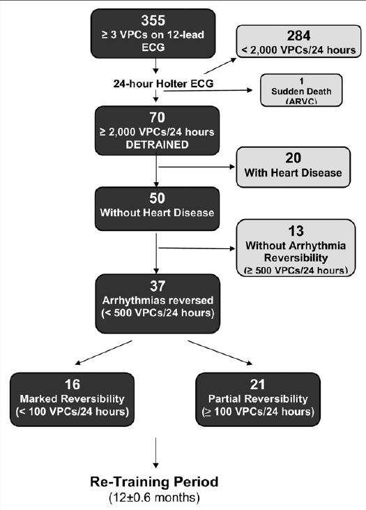 The absence of adverse clinical events with the resumption of training supports the continued