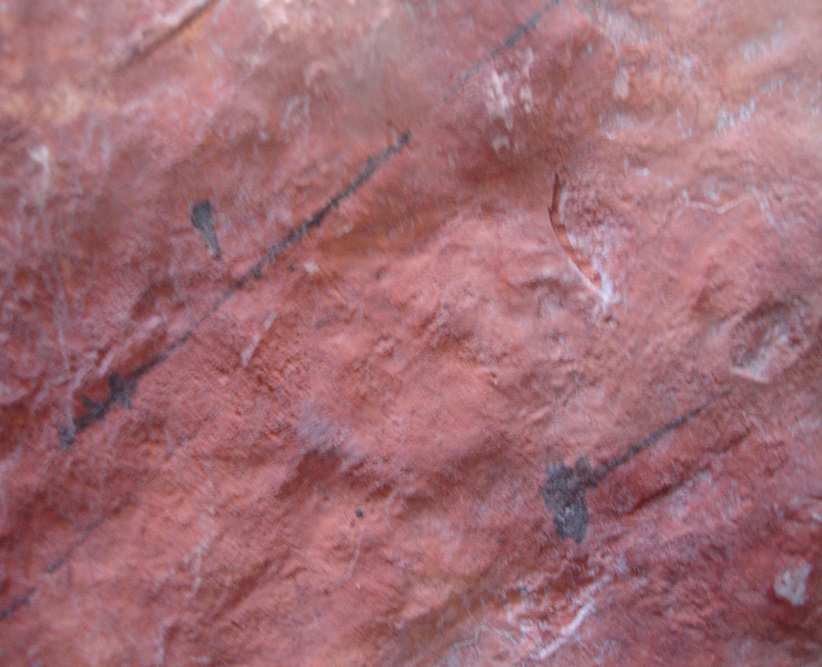 Στο δείγμα παρατηρήθηκαν επίσης και οξείδια του σιδήρου. Αισθητικά χαρακτηριστικά: Η μάζα του πετρώματος αποτελείται από μπεζ και ερυθρωπά συσσωματώματα.