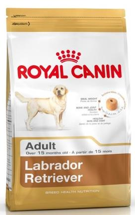 BHN Labrador Retriever Odgovori na ključna pitanja Kontrola tjelesne težine i nakupljanja masnog tkiva -puno proteina