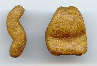 BRAHICEFALIČNA GRAĐA (kraća gornja