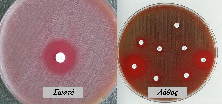 Μέθοδος διάχυσης δισκίων (disk diffusion) Μη πρωτυποποιημένο, δεν υπάρχουν οδηγίες