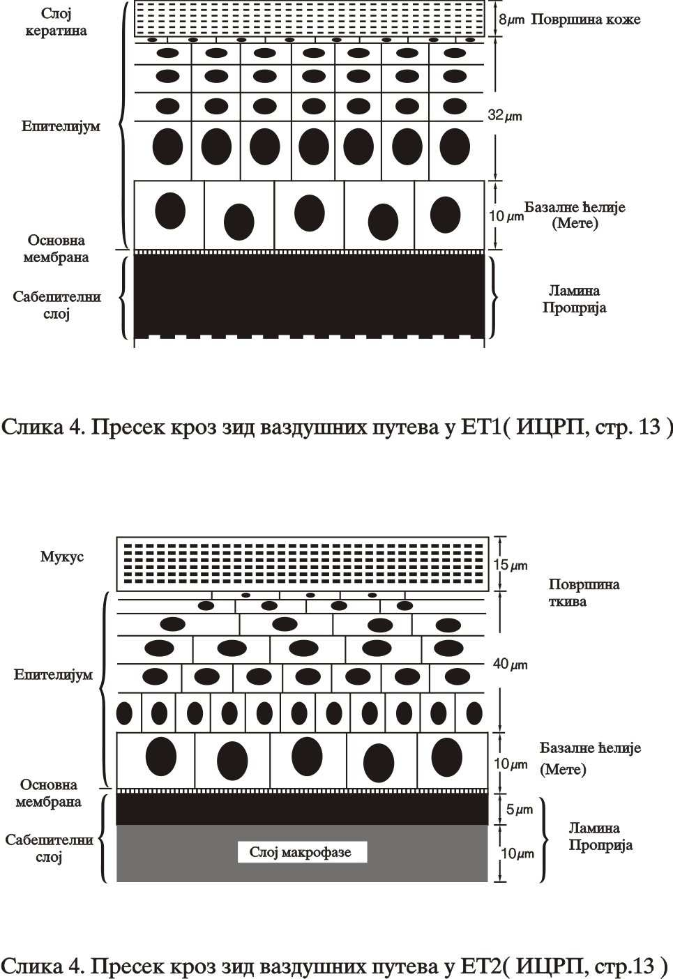 Слика 2.3.
