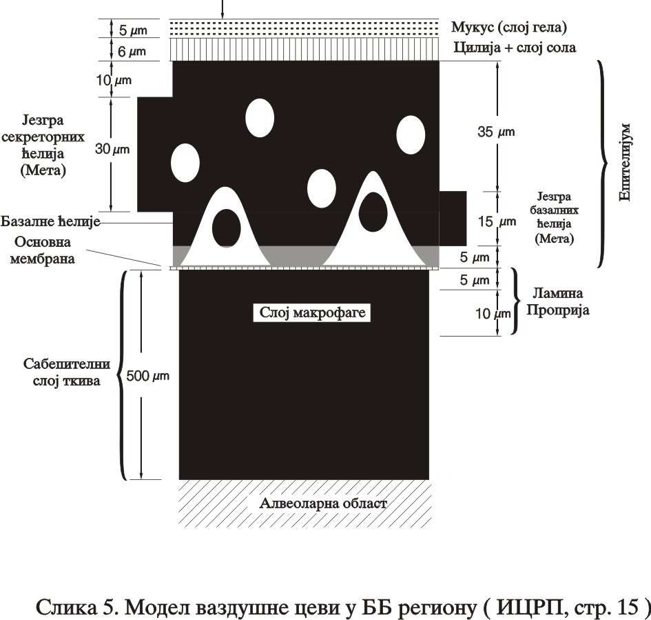 Слика 2.5.
