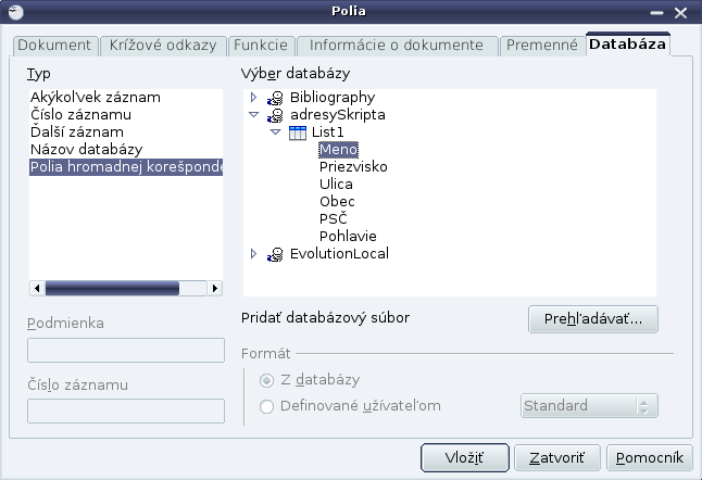 Vráťme sa naspäť k našim štítkom. Nastavte sa na prvý z nich a zapnite si dialógové okno na vkladanie polí (obrázok 27).