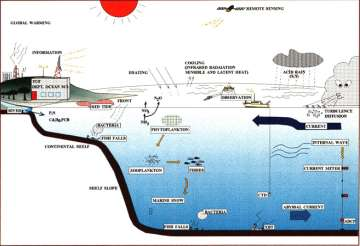 Κατεύθυνση: Περιβαλλοντική Ωκεανογραφία Επιστημονικός Υπεύθυνος: Αναπλ.