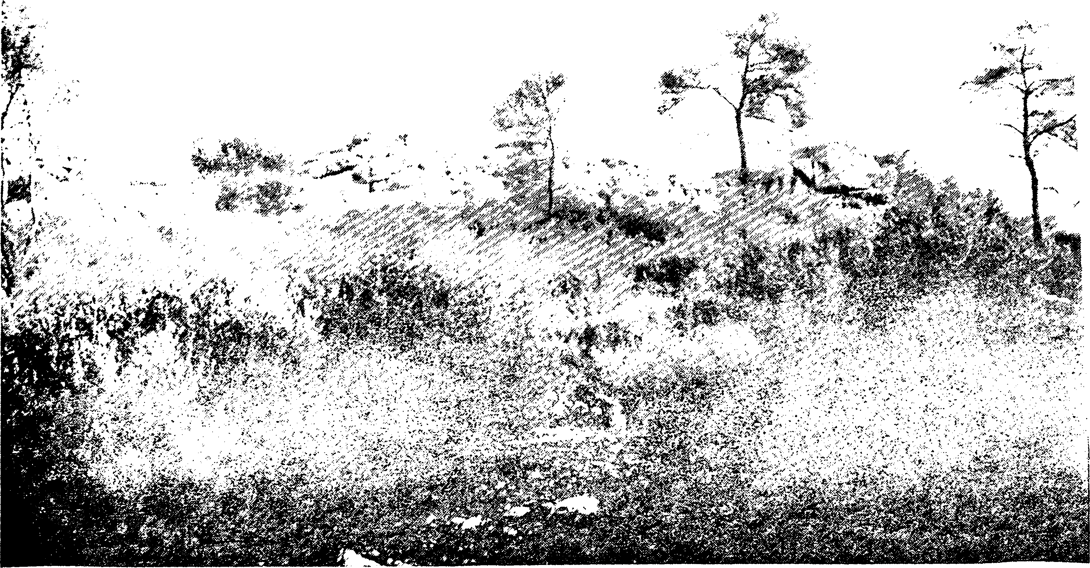 ακροπόλεις 7; E l k. 23. Σαλαμίς.