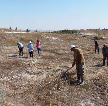 2 ha ανά έτος στην περιφέρεια των υπό μελέτη οικοτόπων και στη θέση