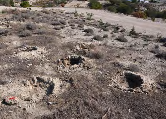 ενίσχυση και αποκατάσταση του οικοτόπου 1520*.