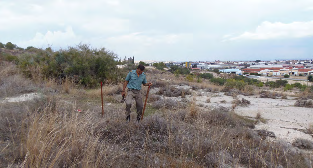 ΕΠΑΝΑΔΗΜΙΟΥΡΓΙΑ ΟΙΚΟΤΟΠΟΥ 5220* ΘΑΜΝΩΝΕΣ ΜΕ ZIZIPHUS ΠΛΗΣΙΟΝ ΤΗΣ ΠΕΡΙΟΧΗΣ