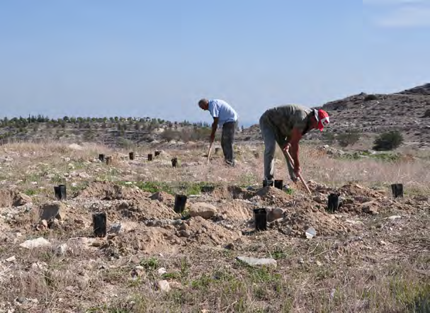 οικότοπου 5220* συνολικής έκτασης 1,95 ha σε τρεις υποβαθμισμένες θέσεις,