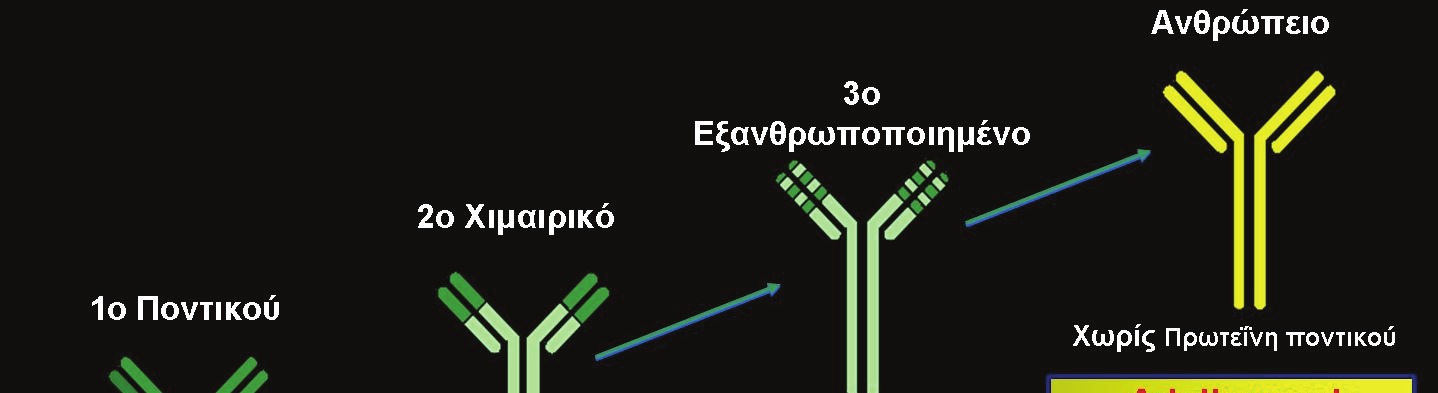 ΔΙΔΑΚΤΟΡΙΚΗ ΔΙΑΤΡΙΒΗ τη δράση της κυτταροκίνης. Δεν συνδέεται με άλλες κυτταροκίνες 28-33.