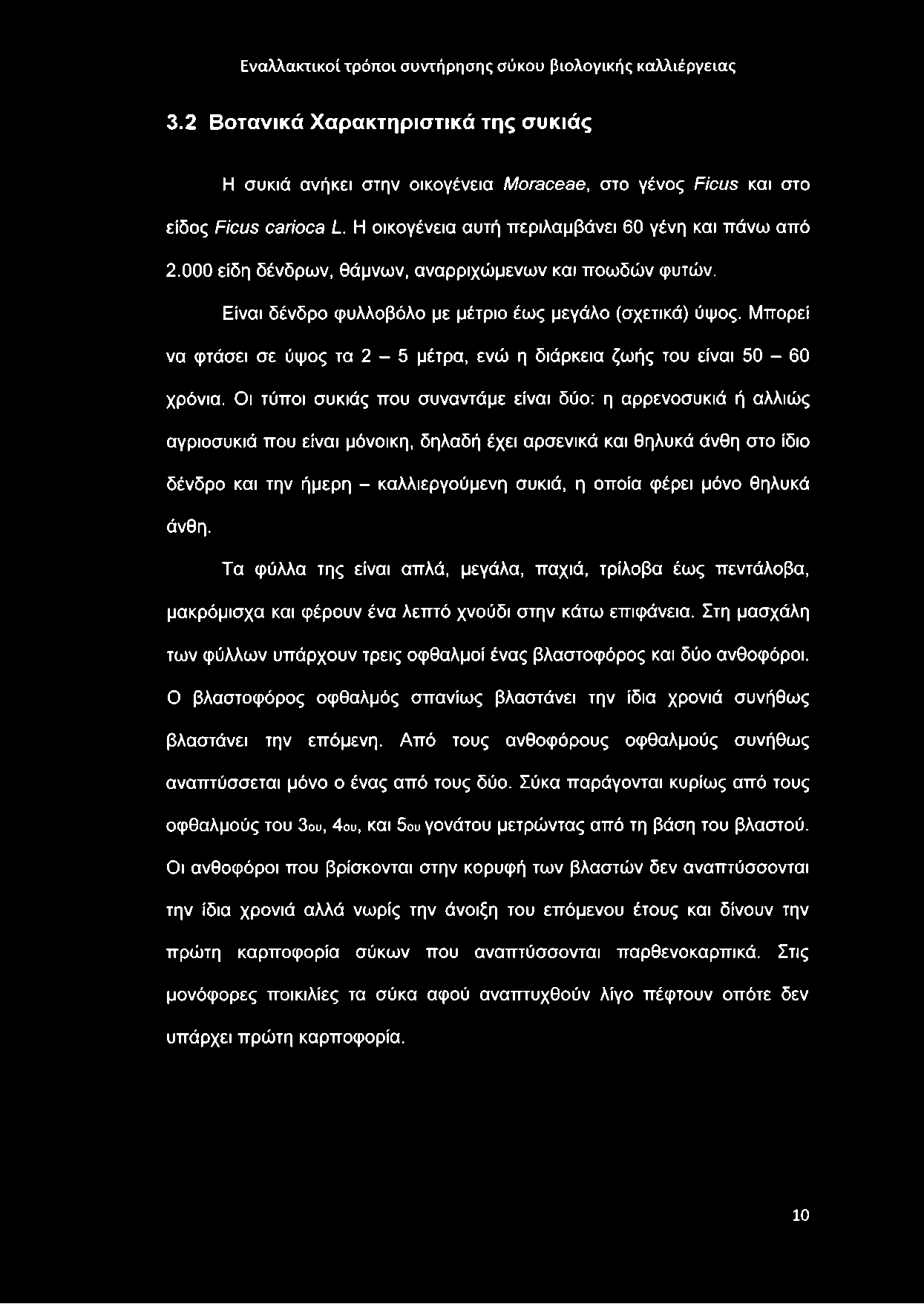 Οι τύποι συκιάς που συναντάμε είναι δύο: η αρρενοσυκιά ή αλλιώς αγριοσυκιά που είναι μόνοικη, δηλαδή έχει αρσενικά και θηλυκά άνθη στο ίδιο δένδρο και την ήμερη - καλλιεργούμενη συκιά, η οποία φέρει