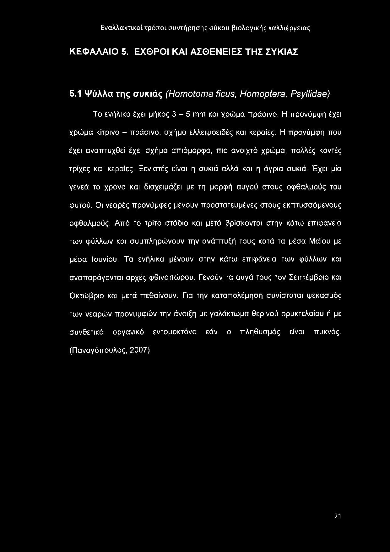 ΚΕΦΑΛΑΙΟ 5. ΕΧΘΡΟΙ ΚΑΙ ΑΣΘΕΝΕΙΕΣ ΤΗΣ ΣΥΚΙΑΣ 5.1 Ψύλλα της συκιάς (Homotoma ficus, Homoptera, Psyllidae) Το ενήλικο έχει μήκος 3-5 mm και χρώμα πράσινο.