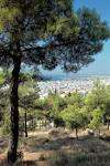 Η ανάσα ζωής και πνεύμονας οξυγόνου της Θεσσαλονίκης προέρχεται από το μεγάλο δάσος χιλιάδων στρεμμάτων, το Σέϊχ Σου.