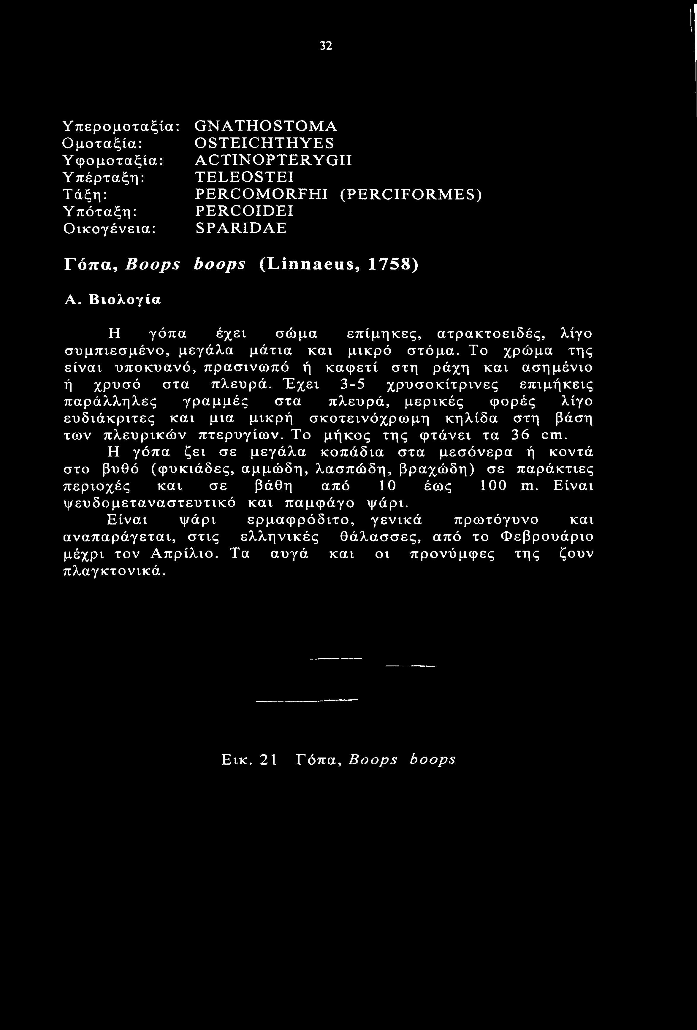 Το χρώμα της είναι υποκυανό, πρασινωπό ή καφετί στη ράχη και ασημένιο ή χρυσό στα πλευρά.