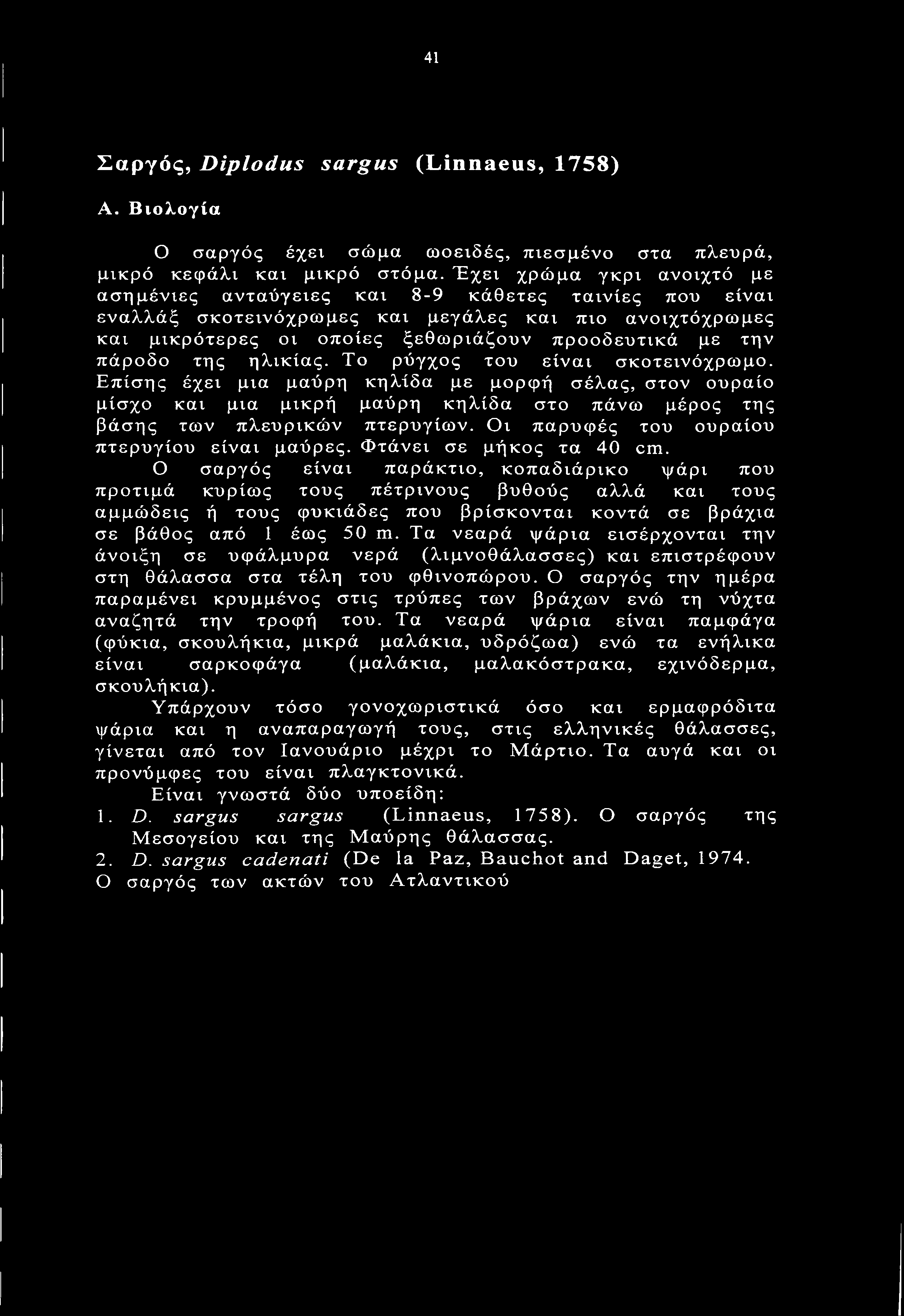 πάροδο της ηλικίας. Το ρύγχος του είναι σκοτεινόχρωμο. Επίσης έχει μια μαύρη κηλίδα με μορφή σέλας, στον ουραίο μίσχο και μια μικρή μαύρη κηλίδα στο πάνω μέρος της βάσης των πλευρικών πτερυγίων.