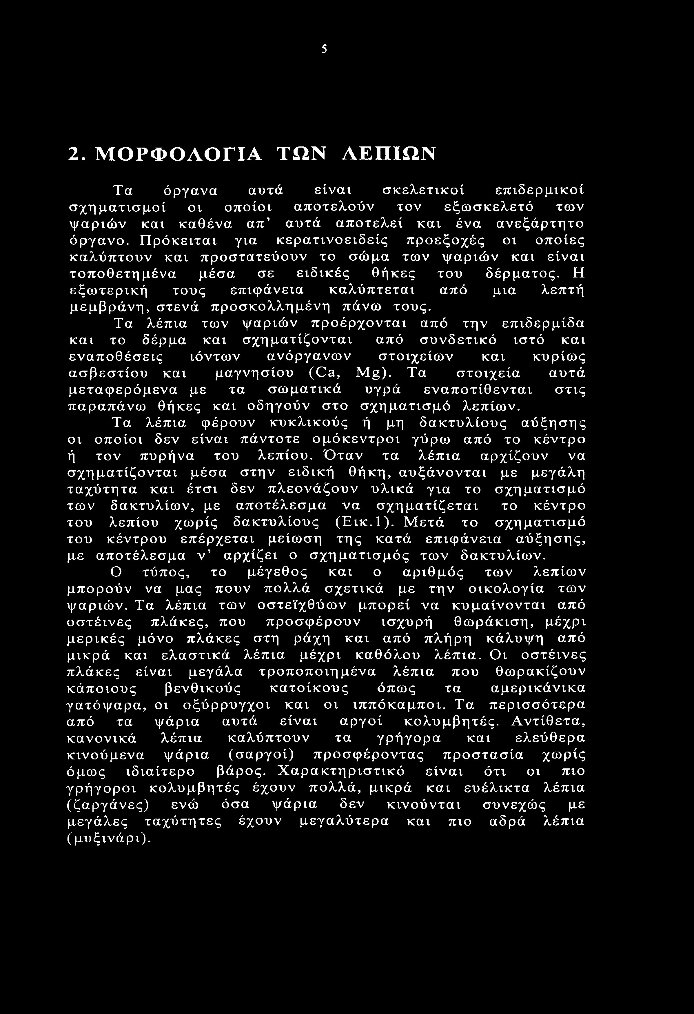 Η εξωτερική τους επιφάνεια καλύπτεται από μια λεπτή μεμβράνη, στενά προσκολλημένη πάνω τους.