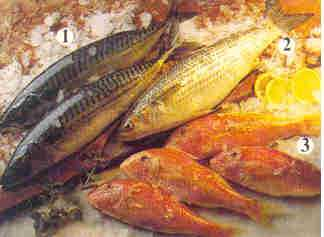 Masti riba Ribe se dele na osnovu sadržaja masti Ribe dubokih voda imaju manje masti (0-2 %) od riba koje žive blizu površine Uglavnom triacilgliceroli sa polinezasićenim masnim kiselinama, zato se