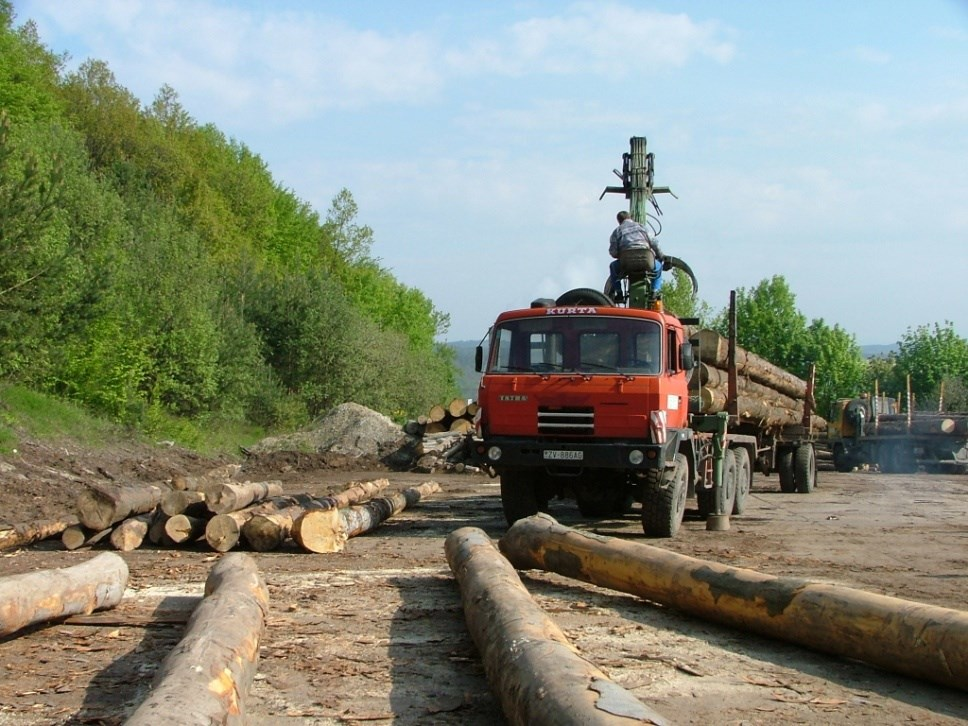 Koncentrovaním skracovania, druhovania a triedenia dreva sa zvyšuje úžitkovosť a zhodnocovanie drevnej suroviny a zlepšujú sa aj možnosti využitia odpadu.