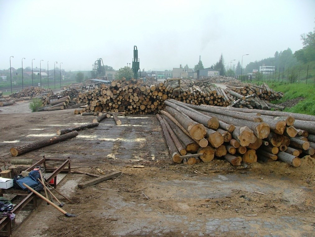 Sklady dreva možno členiť podľa viacerých kritérií, pričom jednotlivé